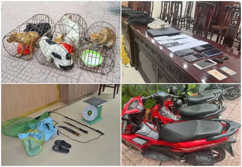 Đài PTTH Hà Nội